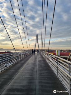 Pedestrian Bridge-西伯利亚地区乌索利耶