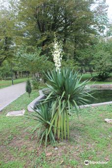 Zugdidi Botanical Garden-祖格迪迪