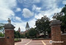 Toomer's Corner景点图片