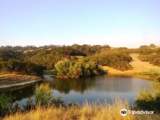 Safari West-圣罗莎