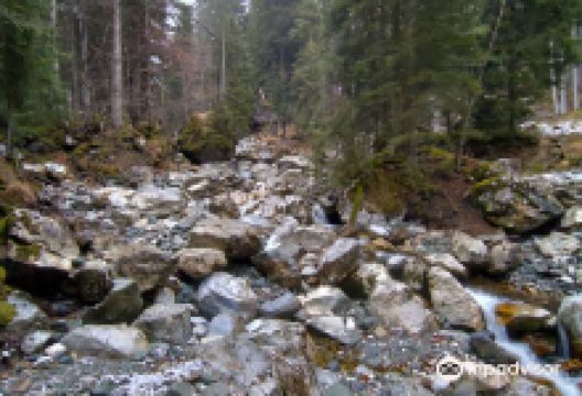 Sorgente e Forra Fleons景点图片