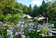 Gokuraku-ji Temple景点图片