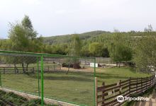 Moara de Vant景点图片