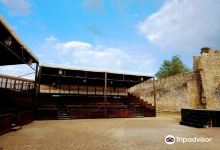 Palacio Caballero de Olmedo景点图片