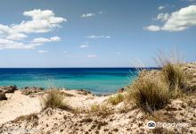 Dune di Campomarino景点图片