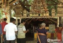 Murikandy Pillayar Shrine景点图片