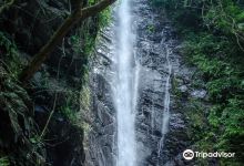 Dajin Waterfall景点图片