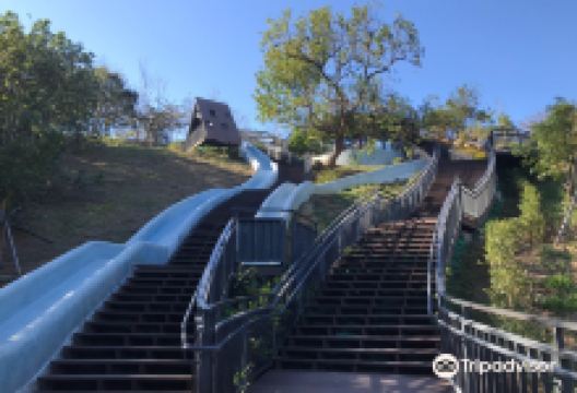 青青草原景点图片