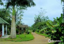 Jardin Botanico de Portoviejo景点图片
