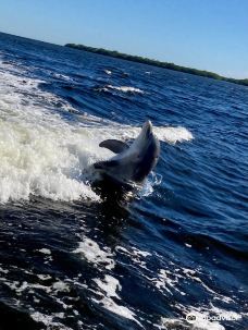 派恩岛-圣詹姆斯城
