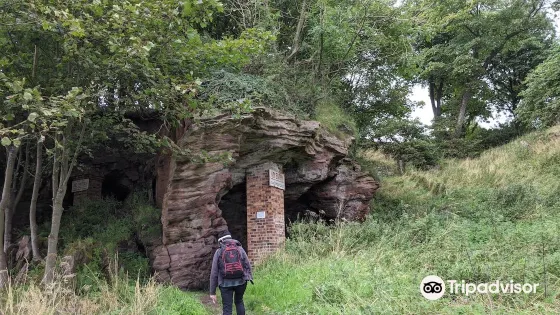 Wemyss Caves