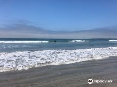 Silver Strand State Beach-科罗拉多