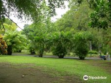 Dominica Botanic Gardens-罗索
