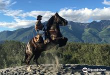 Alaska Horse Adventures景点图片