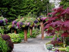 Glacier Gardens Rainforest Adventure-朱诺