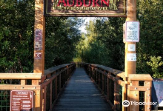 Auburn Environmental Park景点图片