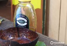 Purdy's Natural Macadamia Nut Farm购物图片