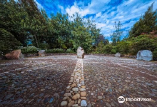 Condor Park景点图片