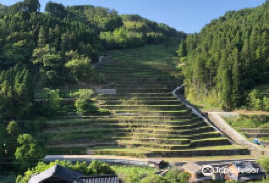 Ishizumi Rice Terraces景点图片