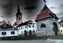 Church of Saint Gotthard景点图片