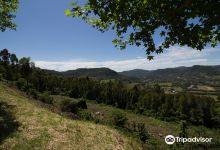 Mirante de Linha Nova景点图片