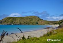 Opito Bay Beach, Coromandel景点图片