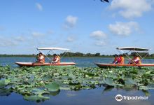 Tram Chim National Park景点图片