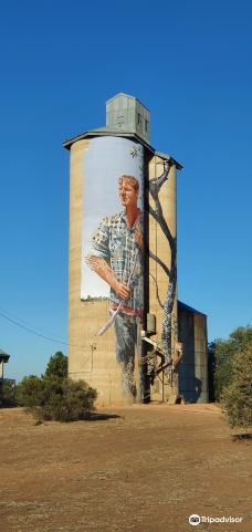 Patchewollock Silos Art-帕奇沃洛克