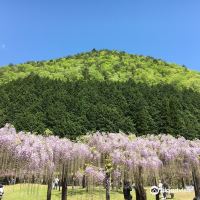 福知山市图片