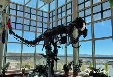 Natural History Museum - Western Wyoming Community College景点图片