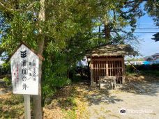 Chomphet Stone Sculpture Village and Temple Complex-巴色