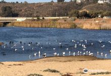 El Peral Lagoon景点图片