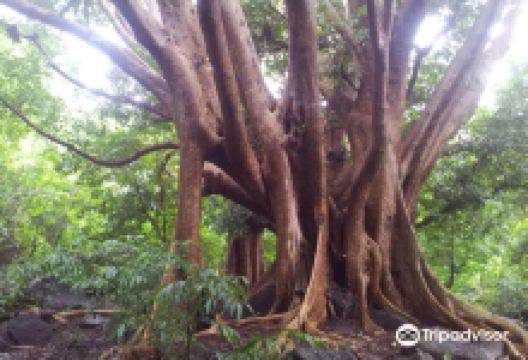 Kakazo-Be景点图片