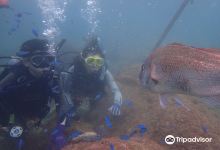 Arari Marine Diving购物图片