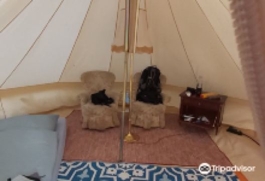 Freihafen Mildenberg购物图片