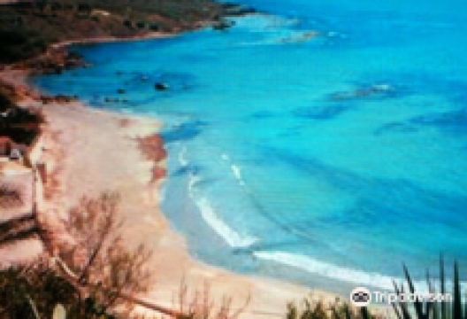Spiaggia Capo San Marco景点图片