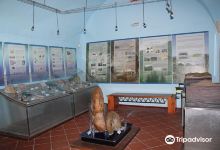 Museo Civico Antonio Collisani景点图片
