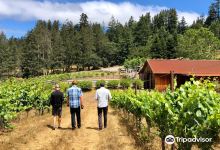 Red Car Winery Tasting Room景点图片