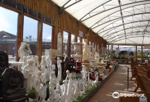 Woodthorpe Garden Centre购物图片