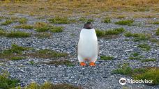 Isla Martillo-乌斯怀亚