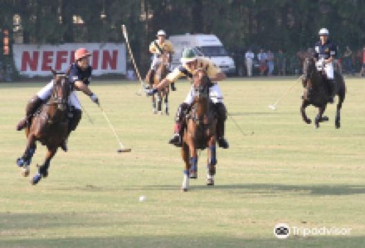 Polo Santa Maria景点图片