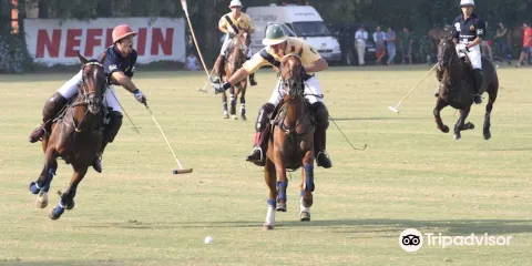 Polo Santa Maria