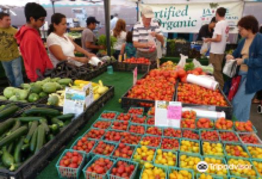 圣莫妮卡农贸市场购物图片