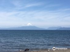 Playa Los Cisnes-兰奎休