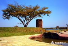 Kuimba Shiri Bird Sanctuary景点图片