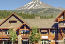 Grizzly Outfitters Ski & Backcountry Sports购物图片