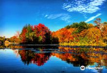 Abbott's Mill Nature Center景点图片