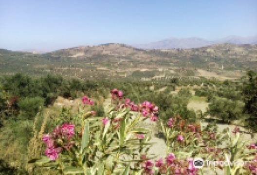 Tamiolakis Winery景点图片