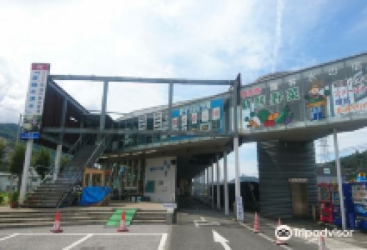 Samegai Mizu no Eki购物图片