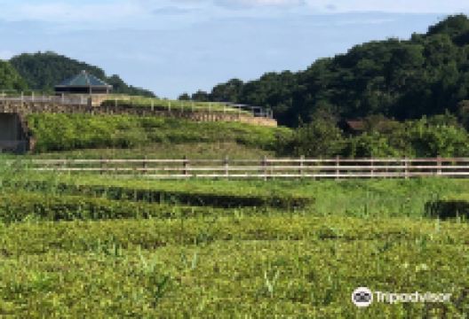 玉丘史迹公园景点图片